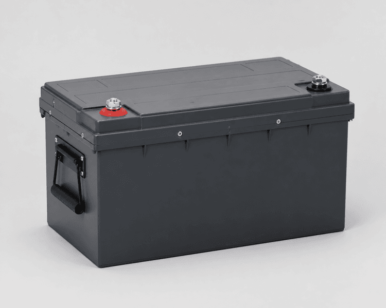48V 100Ah LiFePO4 Battery Module